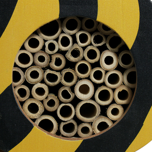 ไม้ซีดาร์บ้านแมลงในสวนใช้เป็นที่กำบังในรังของสวนหลังบ้านแบบออกแบบได้ตามต้องการ - Product Image 3