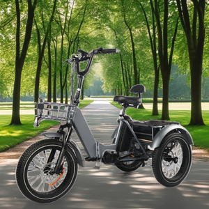 Bafang M410 <span class=keywords><strong>Vélo</strong></span> <span class=keywords><strong>cargo</strong></span> électrique haut de gamme 48V 250W Moteur central 15AH Trike 3 roues avec tube Batterie au lithium - Product Image 2