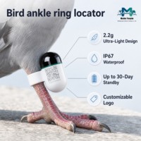 Mini traceur GPS 2,2g pour oiseaux, 30 jours d'autonomie, corps en ABS, réseau de localisation crowdsourcing pour pigeons de course, perroquets et volailles migratoires