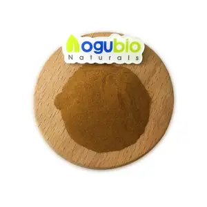 Pure Green Coffee Bean Extract 10:1 Chlorogenic Acid Powder Natural Coffee Bean Chlorogenic Acid