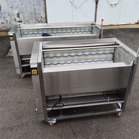 Fabrikant van fruit- en groentereinigings- en schilmachines voor groenteverwerkingsbedrijven, commercieel gebruik, eenvoudige bediening, 220V