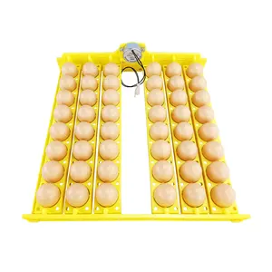 Incubadora de huevos de gallina completamente automática Mini 48 incubadora de huevos de 220 voltios