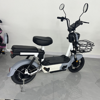 Bicicleta Eléctrica Ligera para Adultos con Motor de 350W y Batería de 48V en Rosa, Azul y Rojo