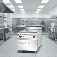 Cuisinière à pâtes au gaz Wiberda, armoire verticale, acier inoxydable, usage intensif, grande capacité, 2200W, garantie 1 an, professionnelle
