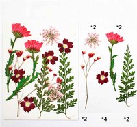 Gedroogde geperste bloemenset hortensia roos gypsophila gemengde bloemen geperste bloemen voor hars oorbel hanger DIY gedroogde bloemen knutselwerk