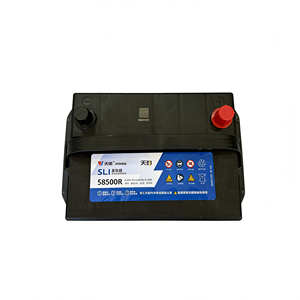 <span class=keywords><strong>แบตเตอรี่</strong></span> TianNeng 58500 <span class=keywords><strong>12V</strong></span> <span class=keywords><strong>50Ah</strong></span> แบบปิดผนึกชนิดตะกั่วกรด 600Wh 300+ รอบการใช้งาน <span class=keywords><strong>ราคา</strong></span>โรงงาน สำหรับยานยนต์ไฟฟ้า - Product Image 5