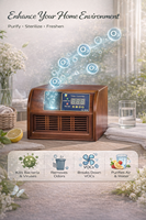 Générateur d'ozone pour usage domestique |   Purificateur d'air pour l'élimination des odeurs, la stérilisation et la désinfection