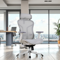 Chaise de bureau contemporaine ergonomique en maille avec support lombaire, cadre en alliage d'aluminium, dossier haut réglable, pivotante et roulante