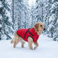 Hunde-Sporttrainings-Sicherheits-Regenjacke Reflektierender Ganzkörper-Wasserdichter Mantel mit Anpassbarem Logo Großhandel Haustierkleidung mit Geschirr