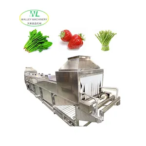 Sebze işleme için normal su soğutma makinesi sepet tipi soğutucu özelleştirme