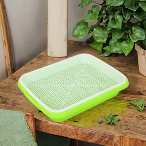 Bandeja de Germinación Hidropónica, Recubierta de Epoxi PP, 32 Celdas, Diseño Rectangular, Bandejas de Vivero Portátiles <span class=keywords><strong>para</strong></span> <span class=keywords><strong>Brotes</strong></span> de Guisantes y Frijoles - Product Image 3