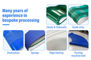 Özelleştirilmiş Yeşil PVC Düz Konveyör Bantlı Masa Üstü - Product Image 4