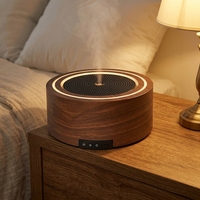 Diffuseur d'arômes électrique en plastique pour table, humidificateur d'air, lumière nocturne multicolore écologique, pour hôtels et usage domestique en France