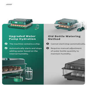 Incubadora Automática <span class=keywords><strong>de</strong></span> <span class=keywords><strong>Huevos</strong></span> a <span class=keywords><strong>Precio</strong></span> Mayorista, Máquina Incubadora <span class=keywords><strong>de</strong></span> <span class=keywords><strong>Huevos</strong></span> <span class=keywords><strong>de</strong></span> Gallina para 64 <span class=keywords><strong>Huevos</strong></span> <span class=keywords><strong>de</strong></span> Gallina y Pavo - Product Image 5