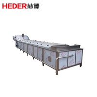 Transportbaan Geblancheerde Machines Groentebonen Voedsel Fruit Aardappel Blancheermachine