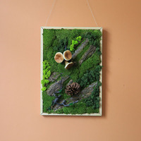 Rechthoekige Houten Frame Muur Opknoping Ornamenten Home Decoratie Woonkamer Muur Opknoping Moss Decor