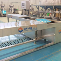Tofu congelé entièrement automatique à haute efficacité formant et découpant des machines de traitement de produit de haricot de machine