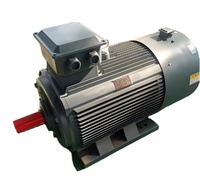 Moteur électrique triphasé AC/DC Schorch ATB VEM Hoyer Marathon LENZE à induction, garantie mondiale, 18,5 kW, 22 kW, 30 kW, 37 kW, 50 kW