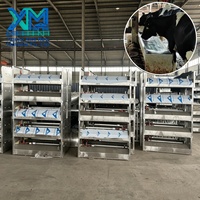 Abreuvoir en acier inoxydable pour bétail, veau, vache, mouton, cheval, avec pieds