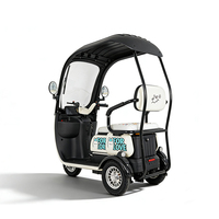 Scooter électrique de luxe à 2 places, 600W 1000W, batterie au plomb-acide 60V, tricycle récréatif à 3 roues avec toit