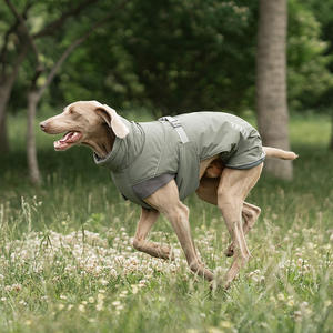 Chaleco transpirable de lujo personalizado para perros, ropa para mascotas para perros pequeños de alta elasticidad, trajes de prevención de frío para primavera - Product Image 3