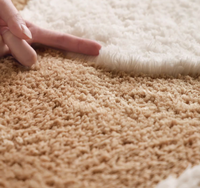 Tapis à poils longs Sarpes Freesia Floral en polyester, fabriqué à la machine, style crème, doux et élégant pour la décoration intérieure