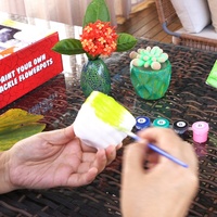 Wingart haute qualité Non toxique peinture vos propres pots de fleurs craquelés Kit de peinture craquelée bricolage peinture en céramique pour les enfants