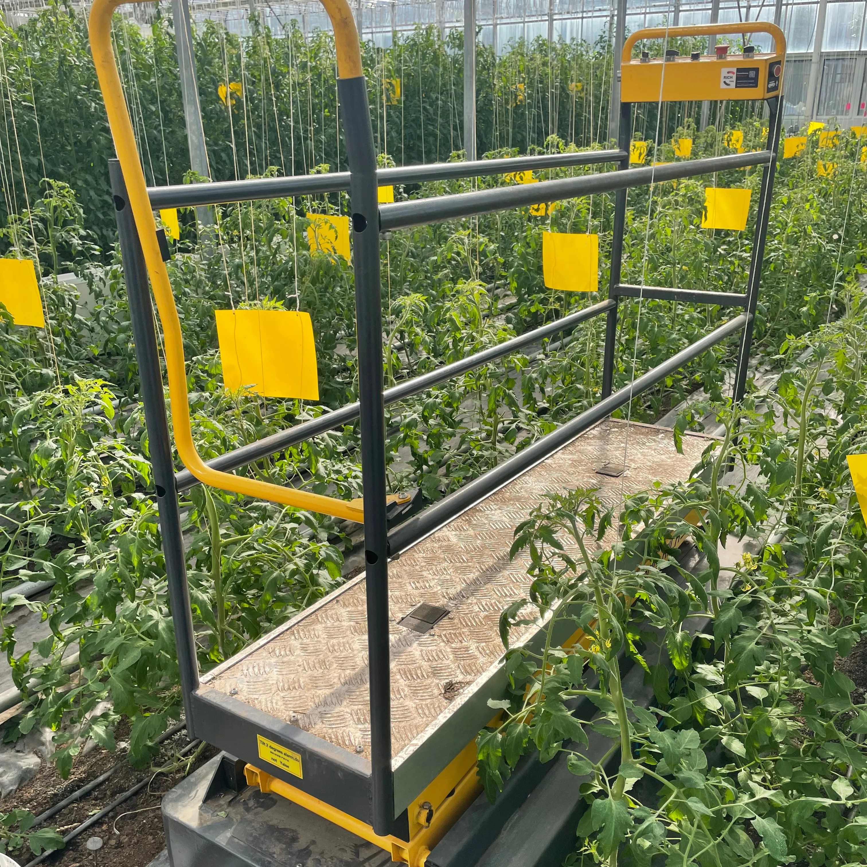 Nông nghiệp cà chua hạt tiêu Pick up tự động đường ống đường sắt chọn giỏ hàng xe đẩy điện thu hoạch Lift cho đa span nhà kính