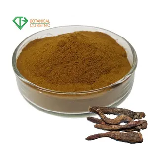 High Purity Cistanche Salsa Extract Powder 80% Glycosides, 25% Echinacosides Cistanche