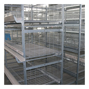 Fabrika özel güvercinler yetiştiriciliği aksesuarları satış için 3 katmanlar eğitim kutusu yarış güvercin kafesleri - Product Image 2