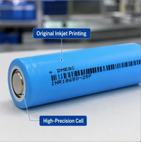 18650 2500mAh High-Rate Lithium Battery for Consumer Electronics