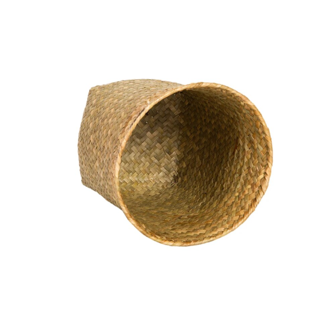 ธรรมชาติ