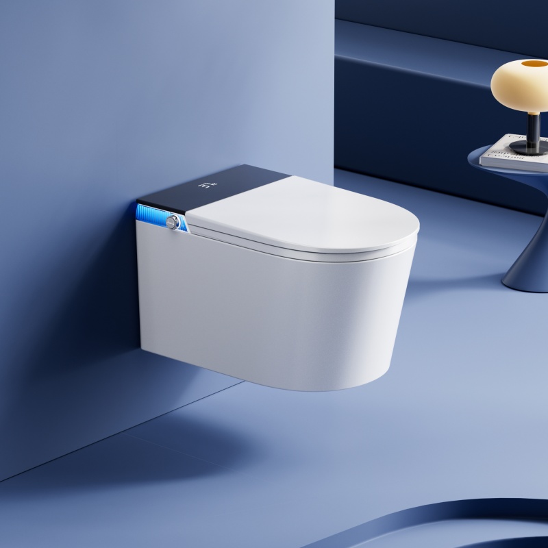 507C with water tank-220V