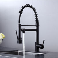 Robinet de cuisine moderne à poignée unique et à trou unique avec douchette extractible et installation sur plan pour usage domestique