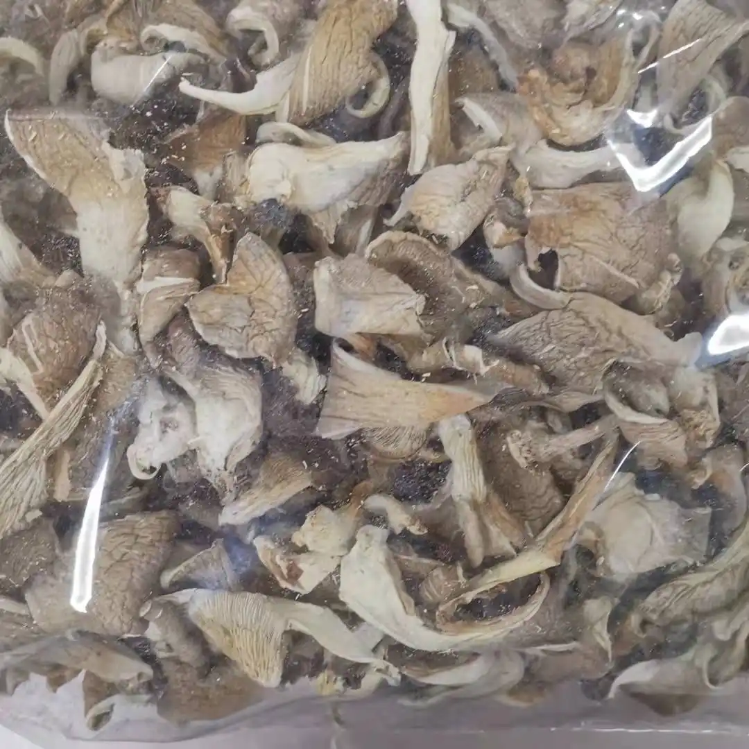 Mushroom Oyster High Quality Mushroom Dried Pleurotus Ostreatus Dried Oyster Mushroom Wholesale
