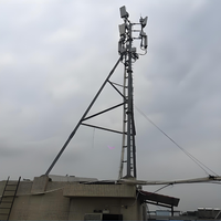 Mât de télécommunication robuste en acier au carbone Q355 galvanisé à chaud avec services de pliage et de découpe pour l'installation d'antennes 4G LTE