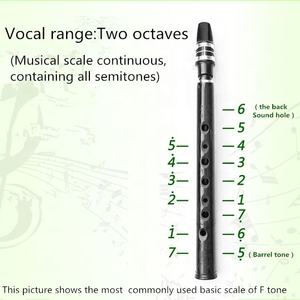 ポータブルスモールサックスミニサックスサックスアルトポケットCトーン8ホール - Product Image 5