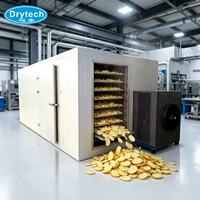 Industriële fruitdroogmachine