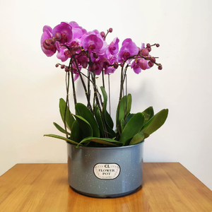 Nouveau style <span class=keywords><strong>pot</strong></span> de fleurs <span class=keywords><strong>en</strong></span> résine haut de gamme, finition grainée brillante, pour <span class=keywords><strong>jasmin</strong></span> chinois, narcisse rond, orchidée et orchidée papillon - Product Image 2
