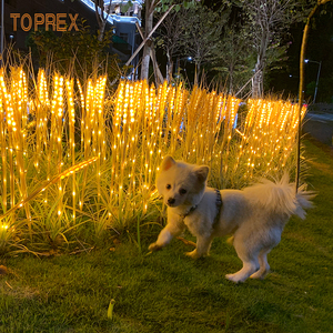 Landschafts bau Luminous Pole Led Stake Licht Ohr Earta Dekorationen Outdoor Wasserdicht Led Wheat Light Garden Park Of Wheat - Product Image 3