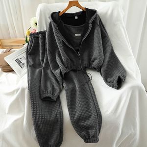Ensemble de survêtement décontracté pour femmes, couleur unie gris, veste ample, pantalon de jogging, ensemble trois pièces, tailles S M L XL, Europe, Amérique, Asie du Sud-Est - Product Image 2