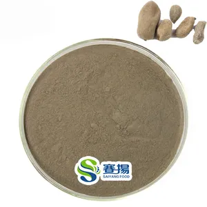 Ekstrak galnut kualitas tinggi asam tananik CAS 1401-55-4 bubuk asam tanamik 90% Food Grade