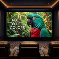 Mur d'affichage micro LED P0.62 8K UHD pour cinéma, studio de diffusion et musée, cathode commune, faible consommation d'énergie