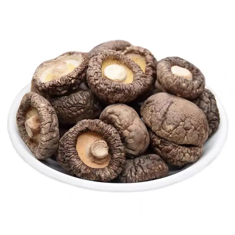 MOQ 1kg Wholesale Price Bulk Dried Shiitake Mushroom Lentinus Edodes