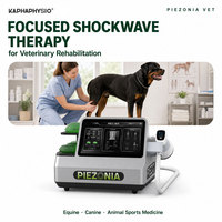 Appareil de thérapie par ondes de choc Kaphaphysio pour chevaux, chiens, animaux de compagnie, petits animaux, réadaptation orthopédique, équipement de centre de réadaptation