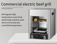 Pioche de boeuf commerciale à ultra-haute température rôti électrique 800 machine à steak température contrôlable acier inoxydable