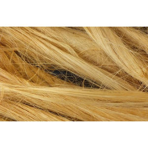 Fibra de Plátano de Longitud Uniforme Clasificada por Micronaire para un Hilado Consistente, Fabricación de Hilos Crudos Premium Ecológicos - Product Image 4