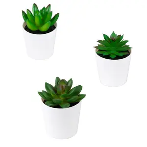 Plastic Aloe Succulent Bonsai Living Room Pot Plant Artificial Wholesale Desktop Decoration Small Bonsai Flowers Pot For Bonsai