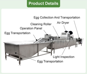 5000-50000 Pcs/h Stainless Steel <b>Egg</b> Washing Drying <b>Machine</b> for Bakery Use Automatic <b>Egg</b> Cleaner - Product Image 3