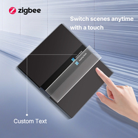 Untuk Sakelar Dinding Zigbee Smart 2-Gang IP20 Tampilan Tombol Waktu Cuaca Panel PC Hitam Tanpa Kabel Live Sentuh Sensitif Suara